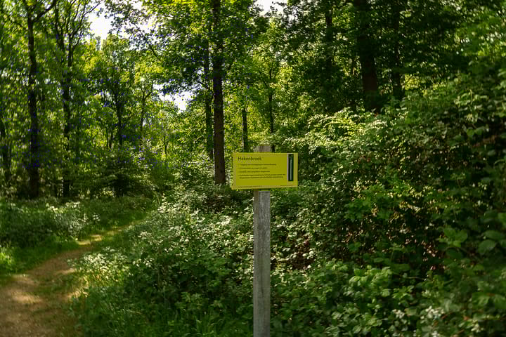 Foto 45 van Tolstraat 4