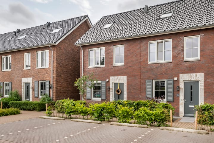 Foto 6 van Tureluur 55