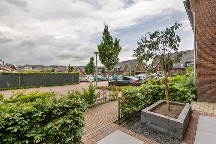 Foto 7 van Tureluur 55