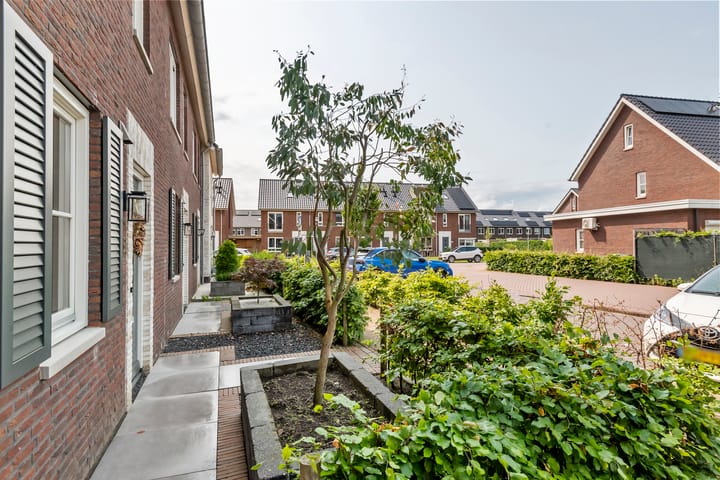 Foto 35 van Tureluur 55