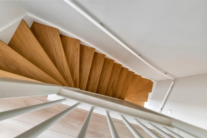 Foto 55 van Tureluur 55