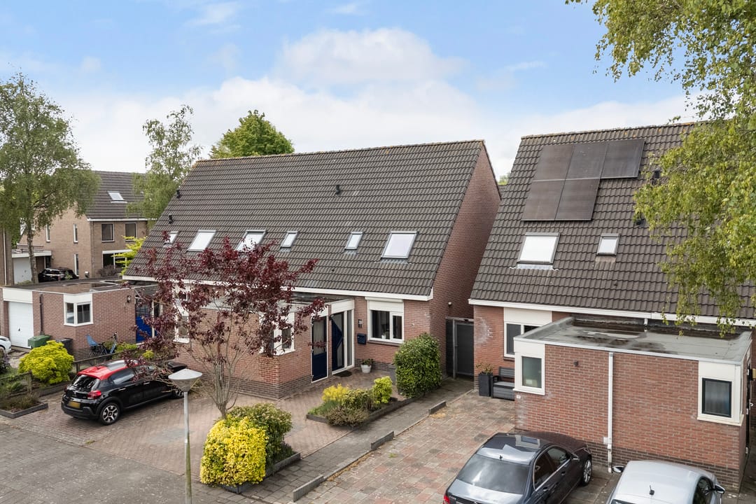 Foto 1 van Jarigsmastins 20