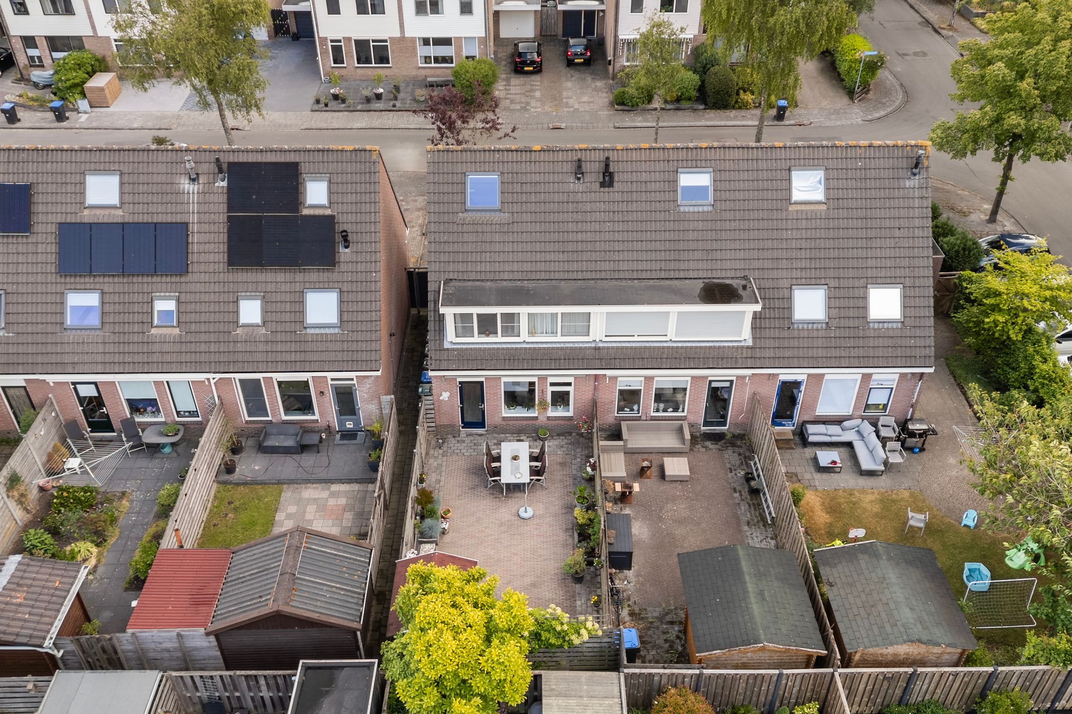 Foto 3 van Jarigsmastins 20