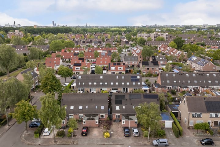 Foto 4 van Jarigsmastins 20