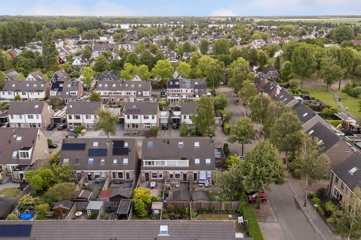 Foto 5 van Jarigsmastins 20