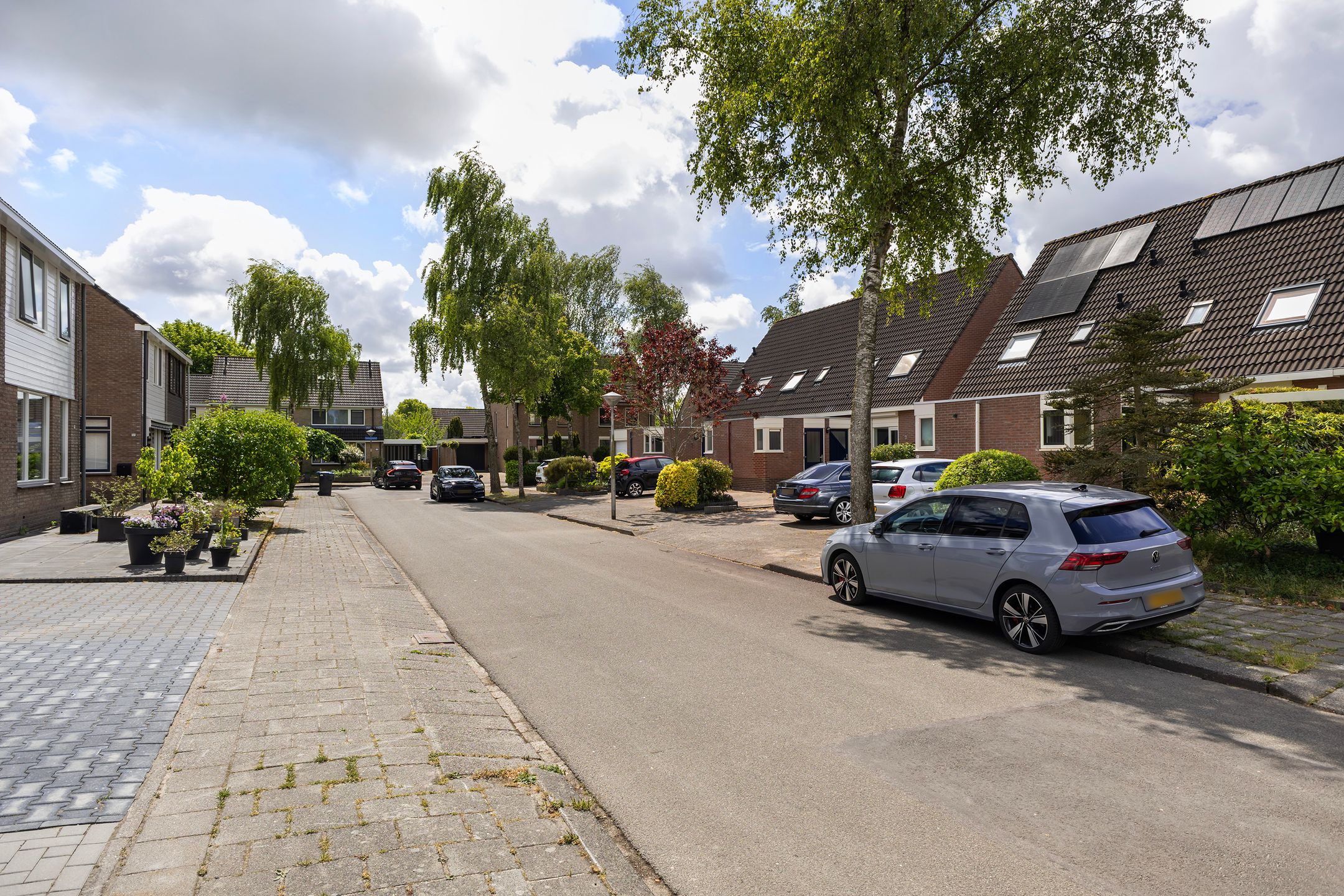 Foto 6 van Jarigsmastins 20