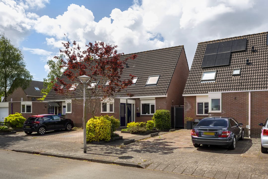 Foto 7 van Jarigsmastins 20