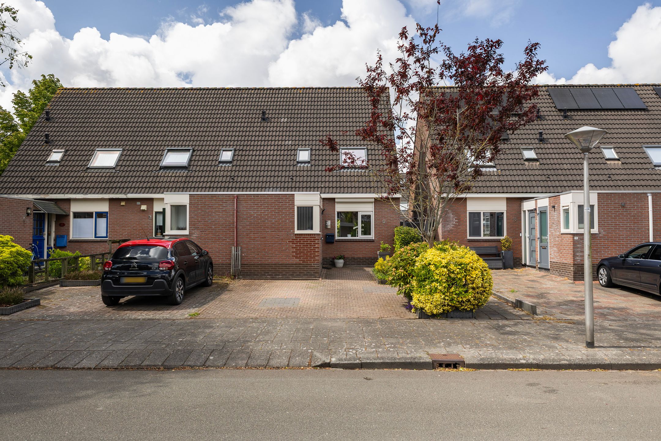 Foto 9 van Jarigsmastins 20