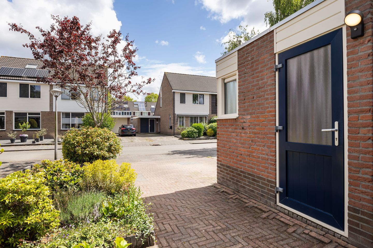 Foto 10 van Jarigsmastins 20