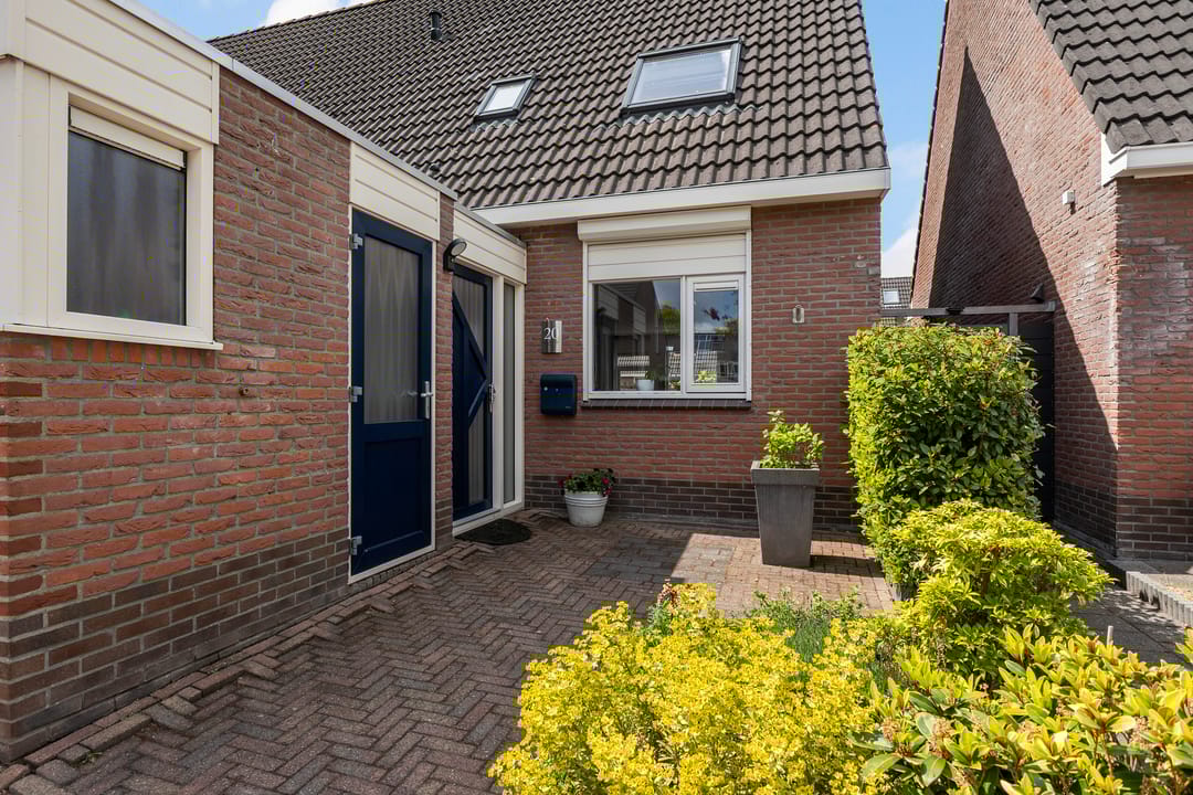 Foto 11 van Jarigsmastins 20