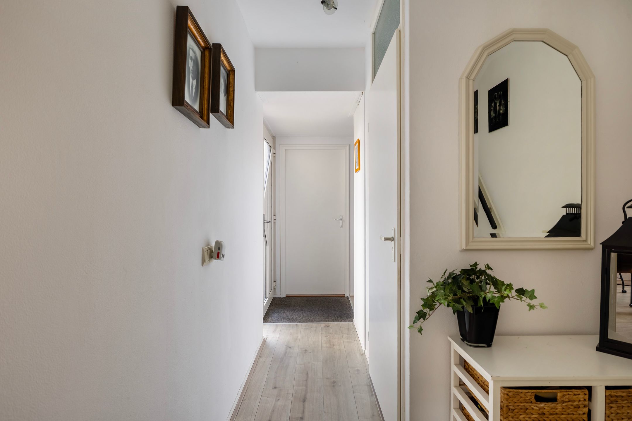 Foto 21 van Jarigsmastins 20