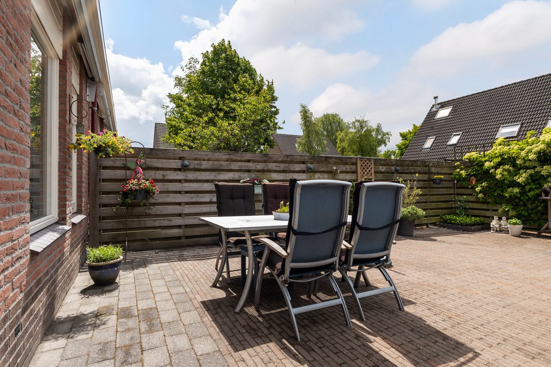 Foto 22 van Jarigsmastins 20