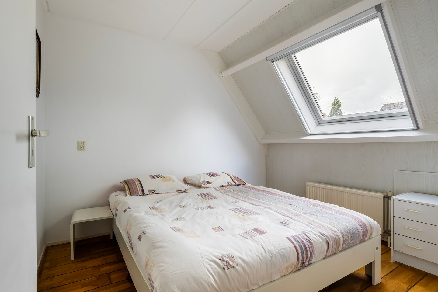 Foto 29 van Jarigsmastins 20