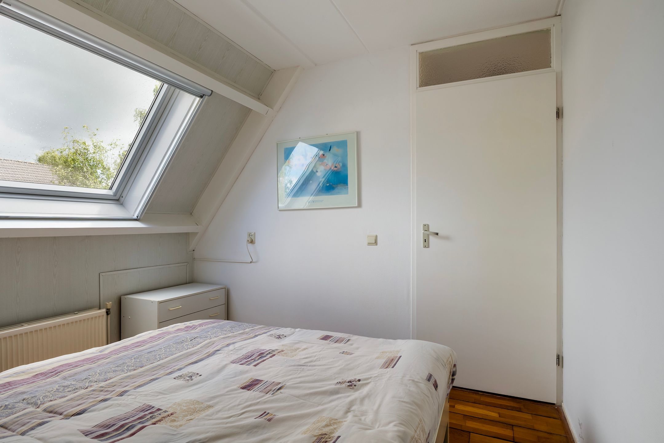 Foto 30 van Jarigsmastins 20