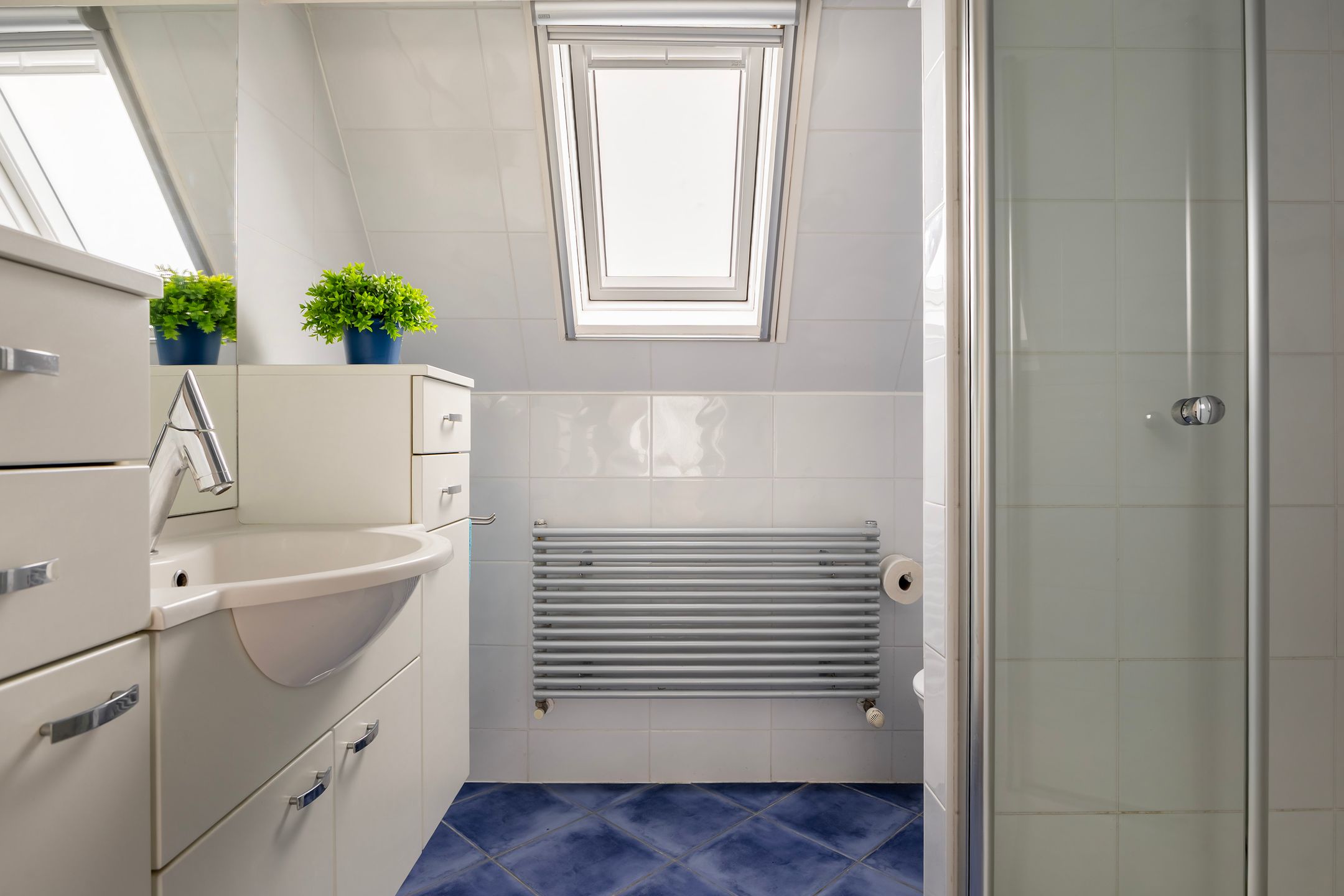 Foto 33 van Jarigsmastins 20