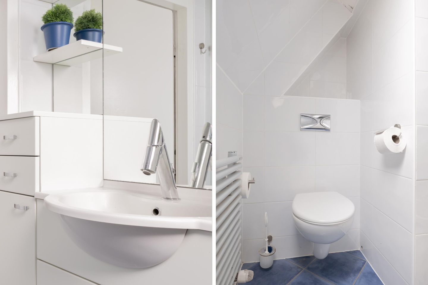 Foto 34 van Jarigsmastins 20