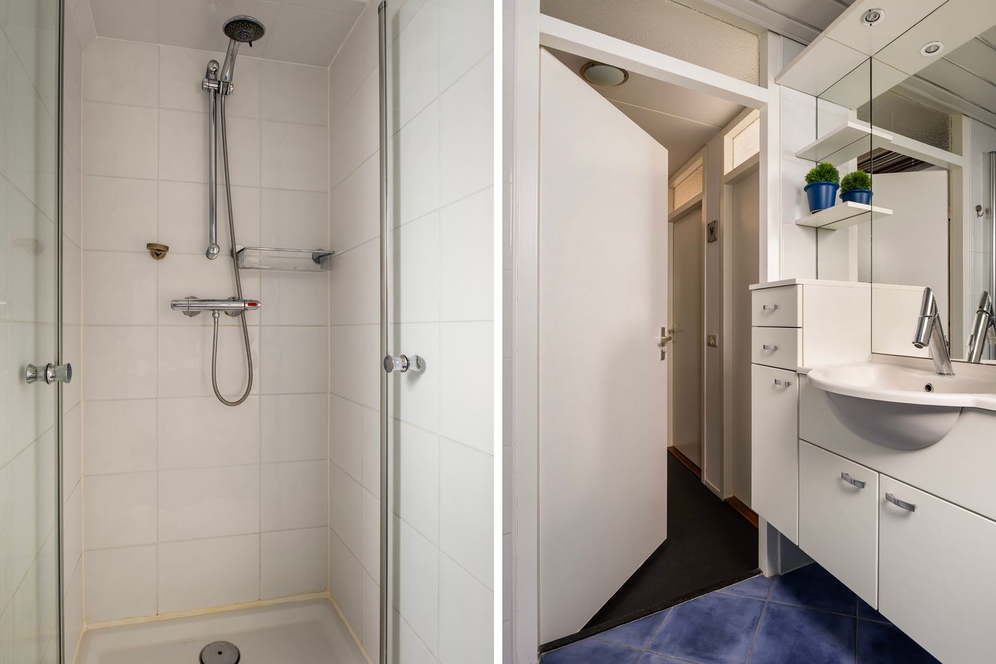 Foto 35 van Jarigsmastins 20