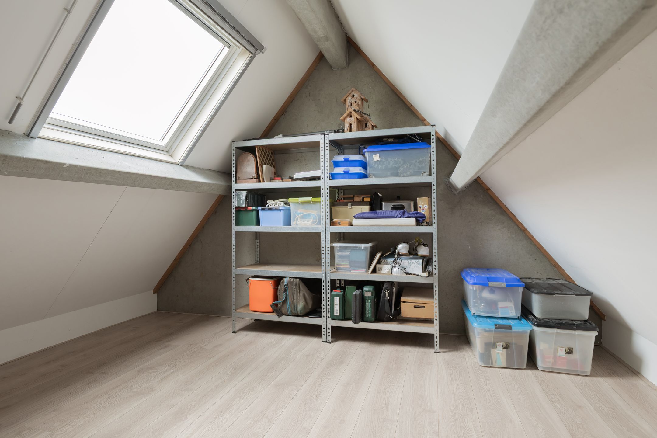 Foto 36 van Jarigsmastins 20