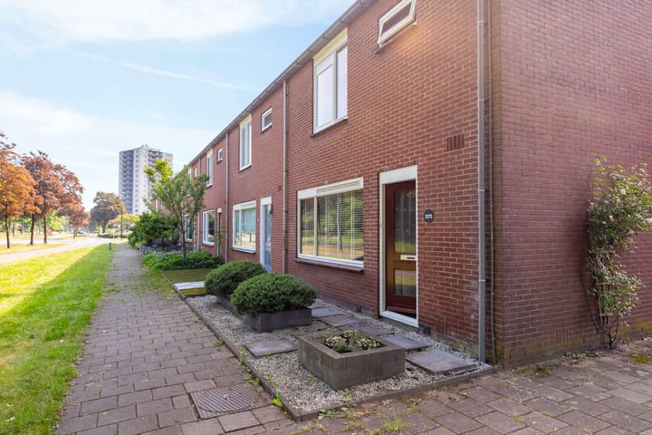 Foto 23 van Kruizemuntstraat 1075