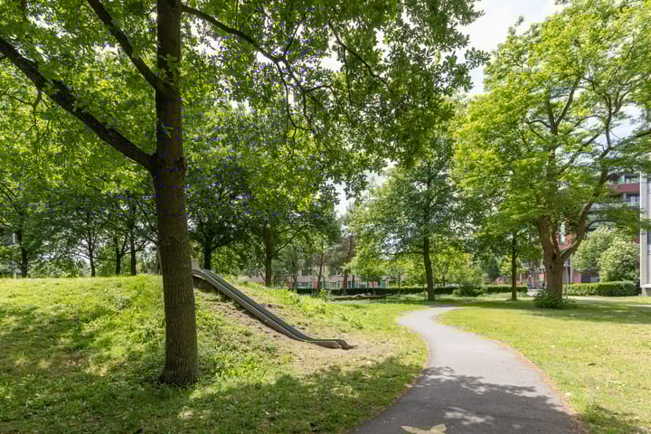 Photo 48 of Fortunadreef 57