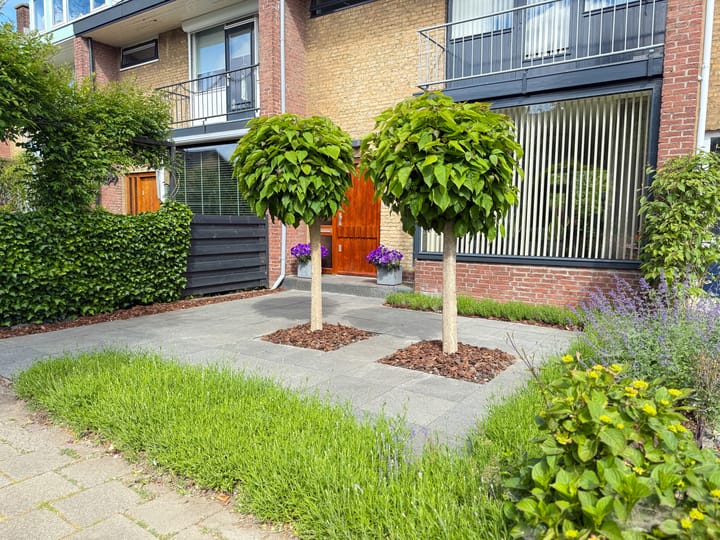 Foto 2 van Paulus Potterlaan 31