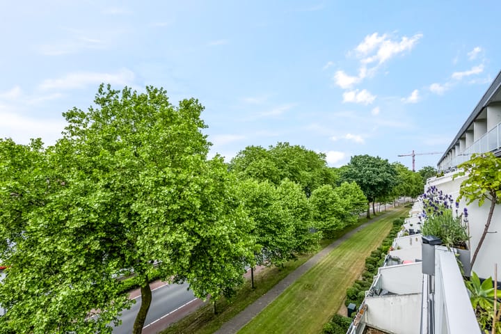 Foto 14 van Dillenburg 242