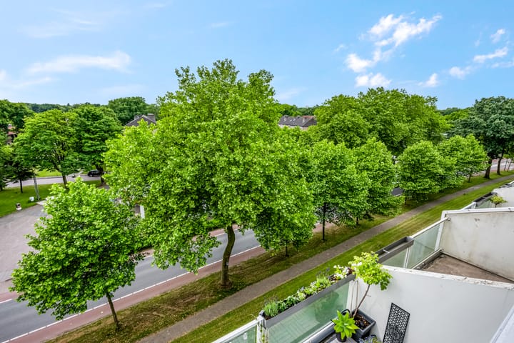 Foto 24 van Dillenburg 242