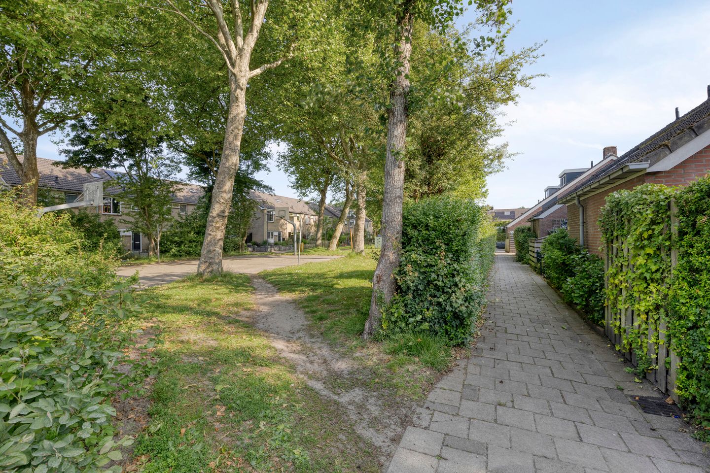 Photo 34 of Leppa 58