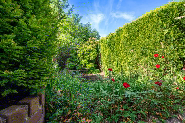 Foto 26 van Jachtlaan 288