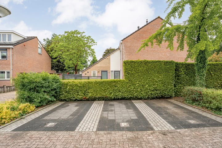 Foto 3 van Mokkenland 56