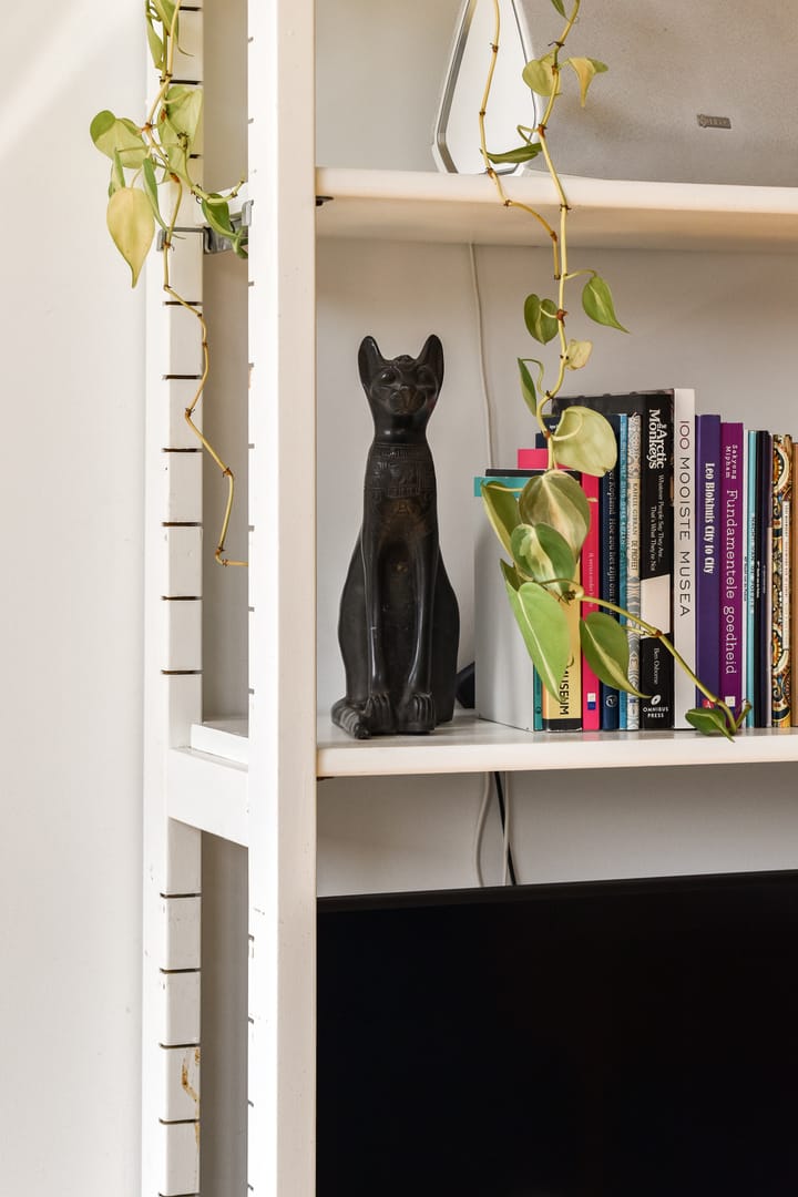 Foto 22 van Reitzstraat 9-D