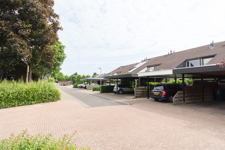 Photo 45 of De Cotelaer 18