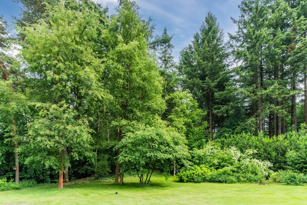 Foto 58 van Oeyenbos 16