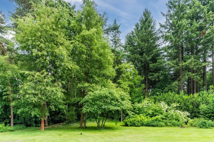 Foto 58 van Oeyenbos 16