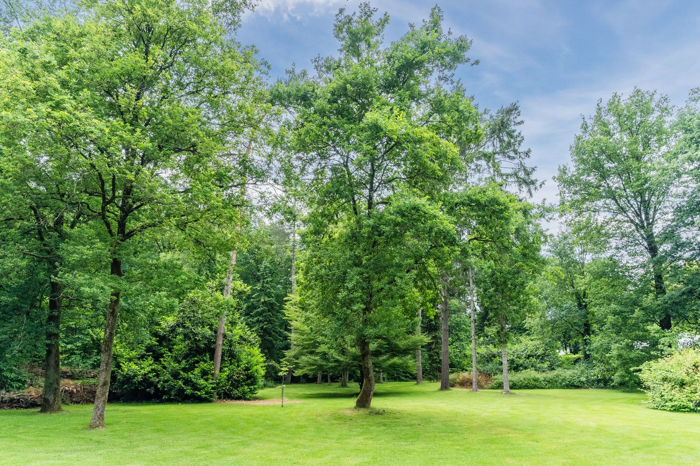 Foto 59 van Oeyenbos 16