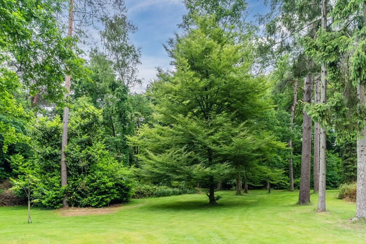 Foto 60 van Oeyenbos 16