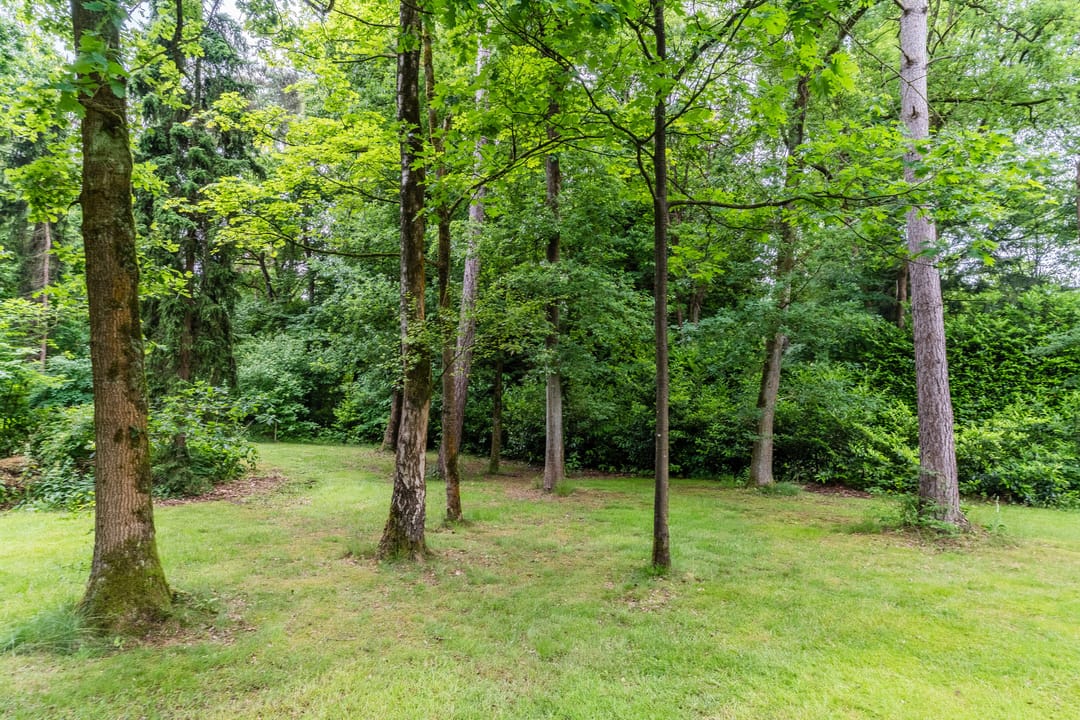 Foto 61 van Oeyenbos 16