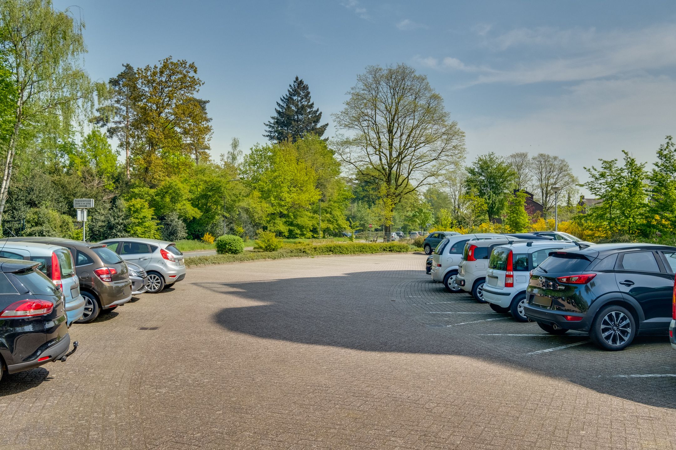 Photo 3 of Vogelplantsoen 220