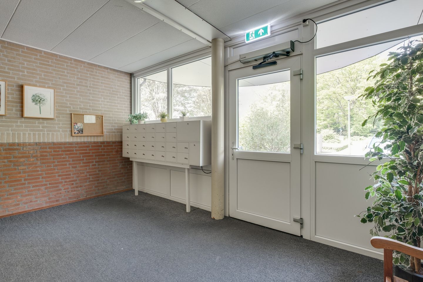 Photo 5 of Vogelplantsoen 220