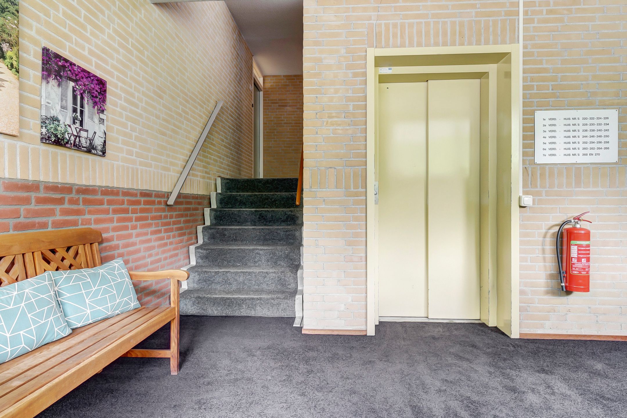 Photo 6 of Vogelplantsoen 220