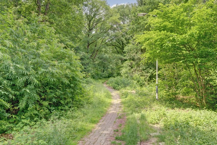 Foto 25 van Vogelplantsoen 220