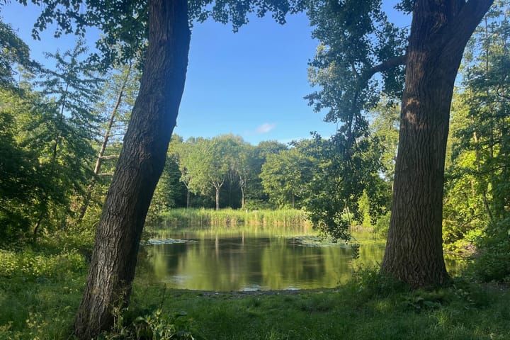 Foto 53 van Turfberg 29