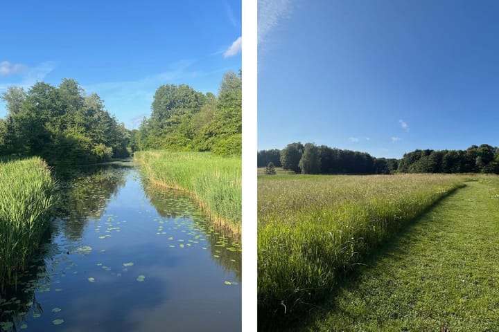 Foto 54 van Turfberg 29