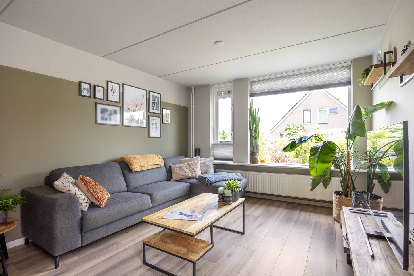 Foto 10 van De Ommegang 9