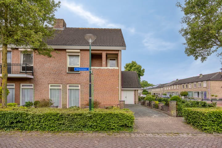 Foto 39 van Strausslaan 45