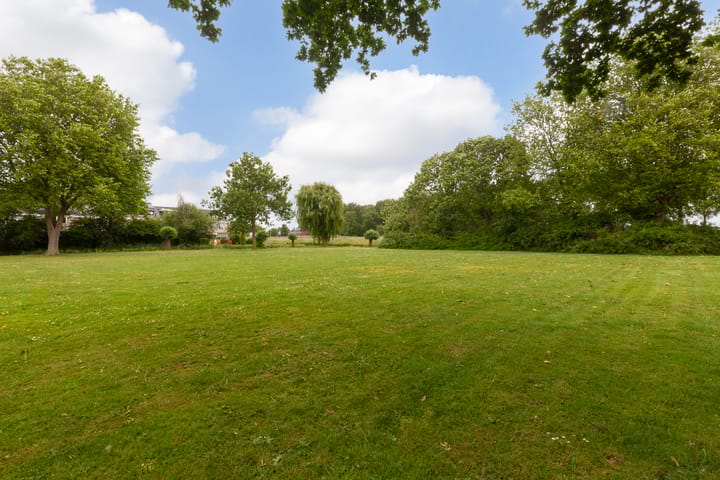 Foto 3 van Roemer Visscherstraat 31