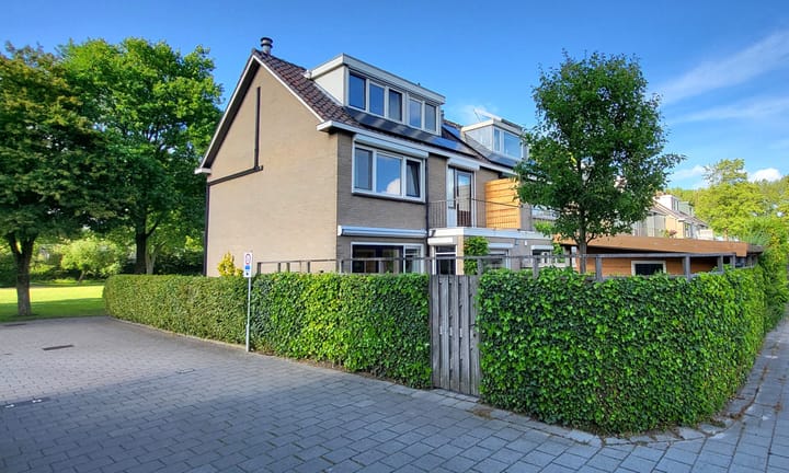 Foto 40 van Roemer Visscherstraat 31