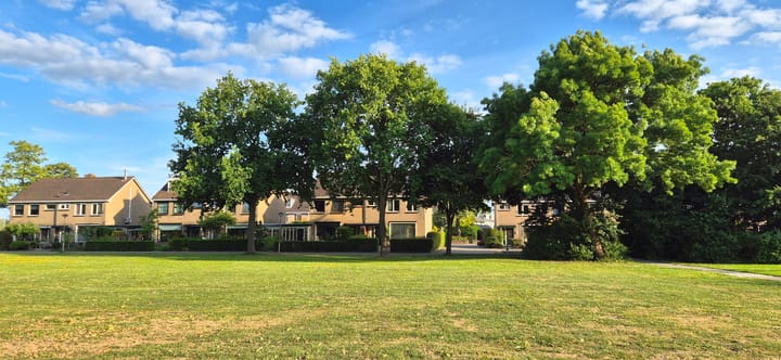 Foto 50 van Roemer Visscherstraat 31