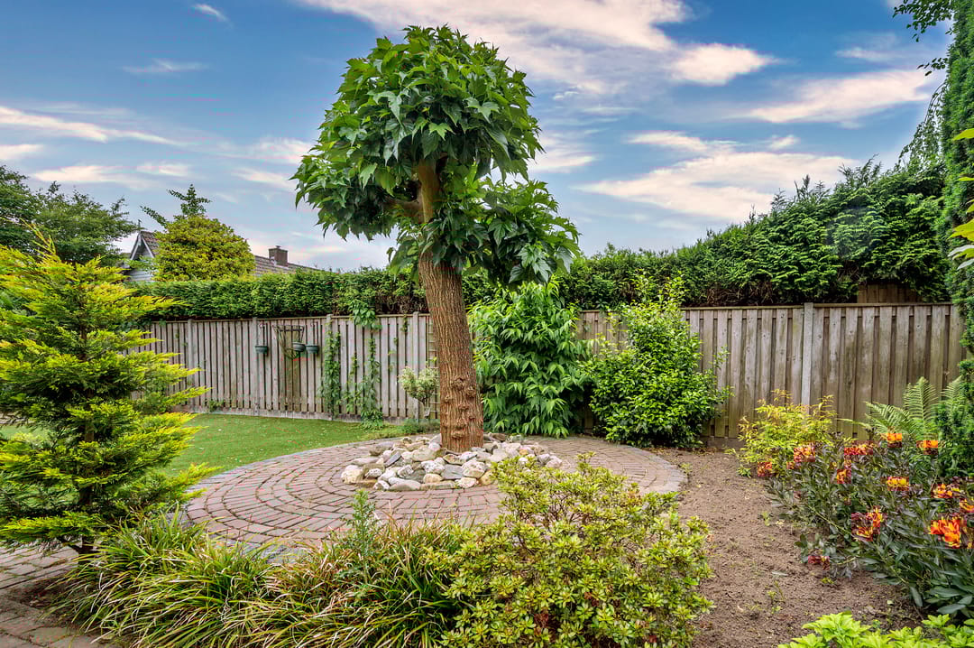 Foto 46 van Gorizialaan 13