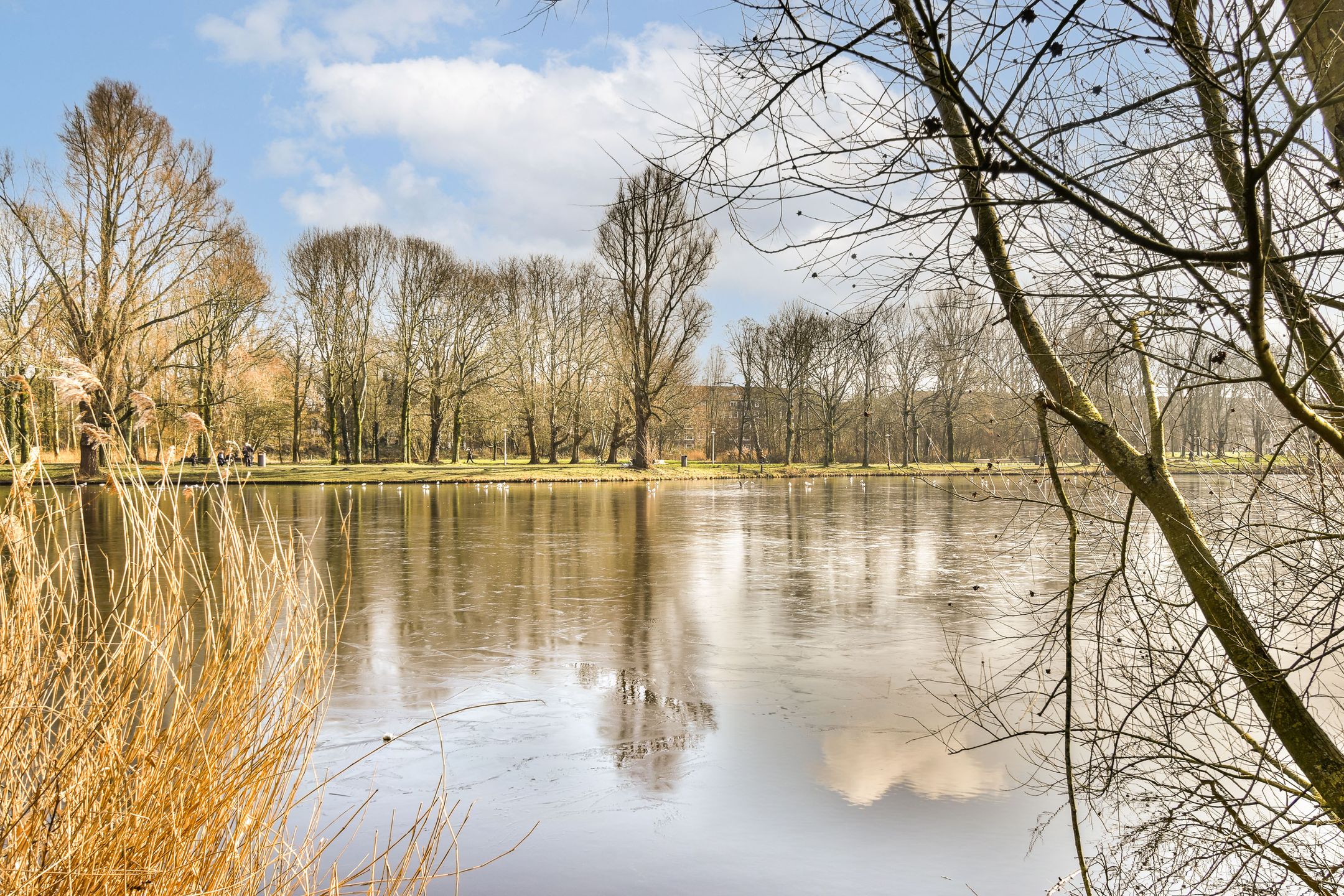 Foto 24 van Nachtwachtlaan 432